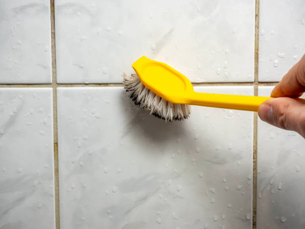 Best Black Mold Removal  in Hearne, TX