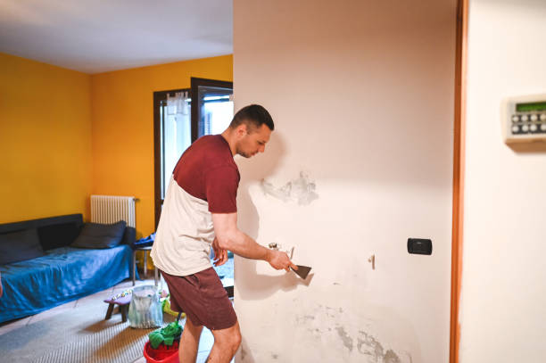 Attic Mold Removal in Hearne, TX
