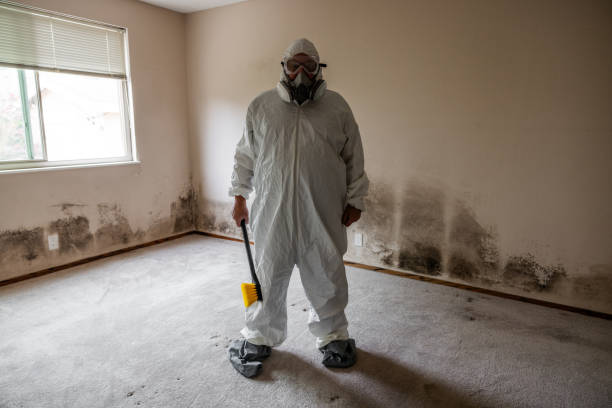 Professional Mold Removal in Hearne, TX